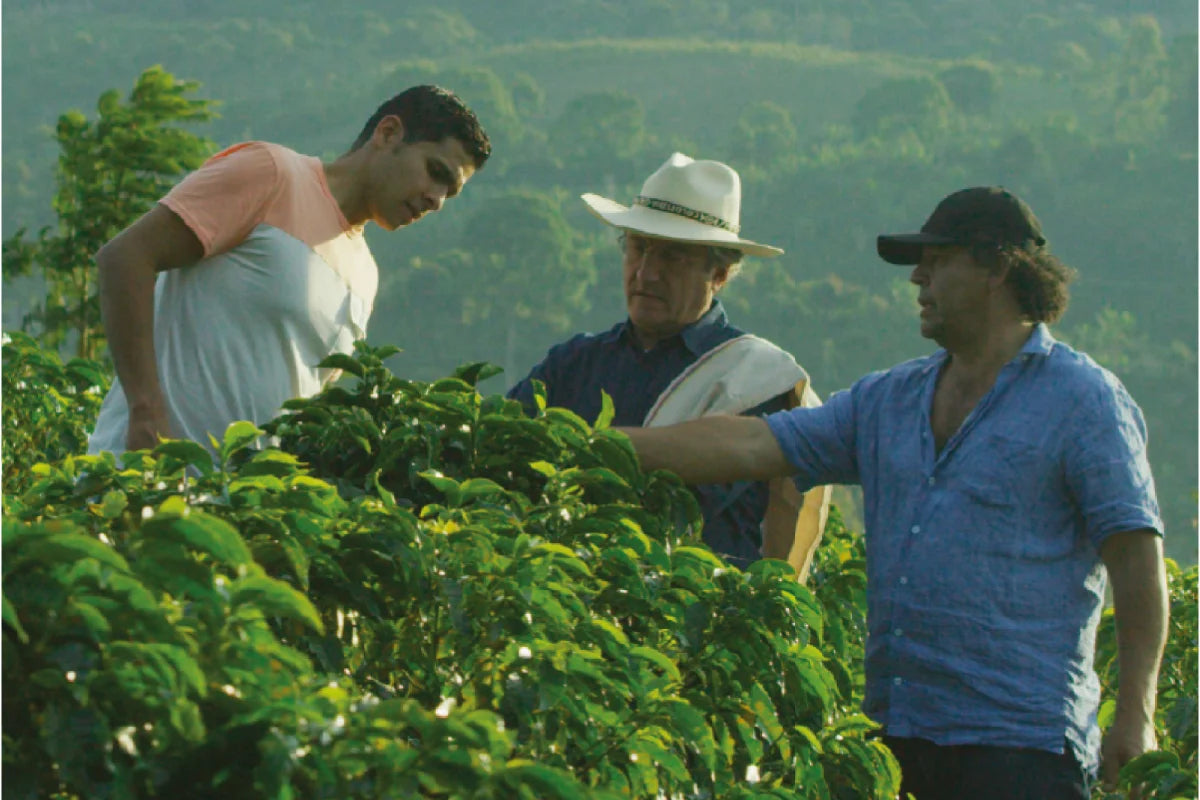 Luis Fernando Vélez y Diego Campos en finca de café de especialidad Amor Perfecto. Relación directa con caficultores y trazabilidad en origen.