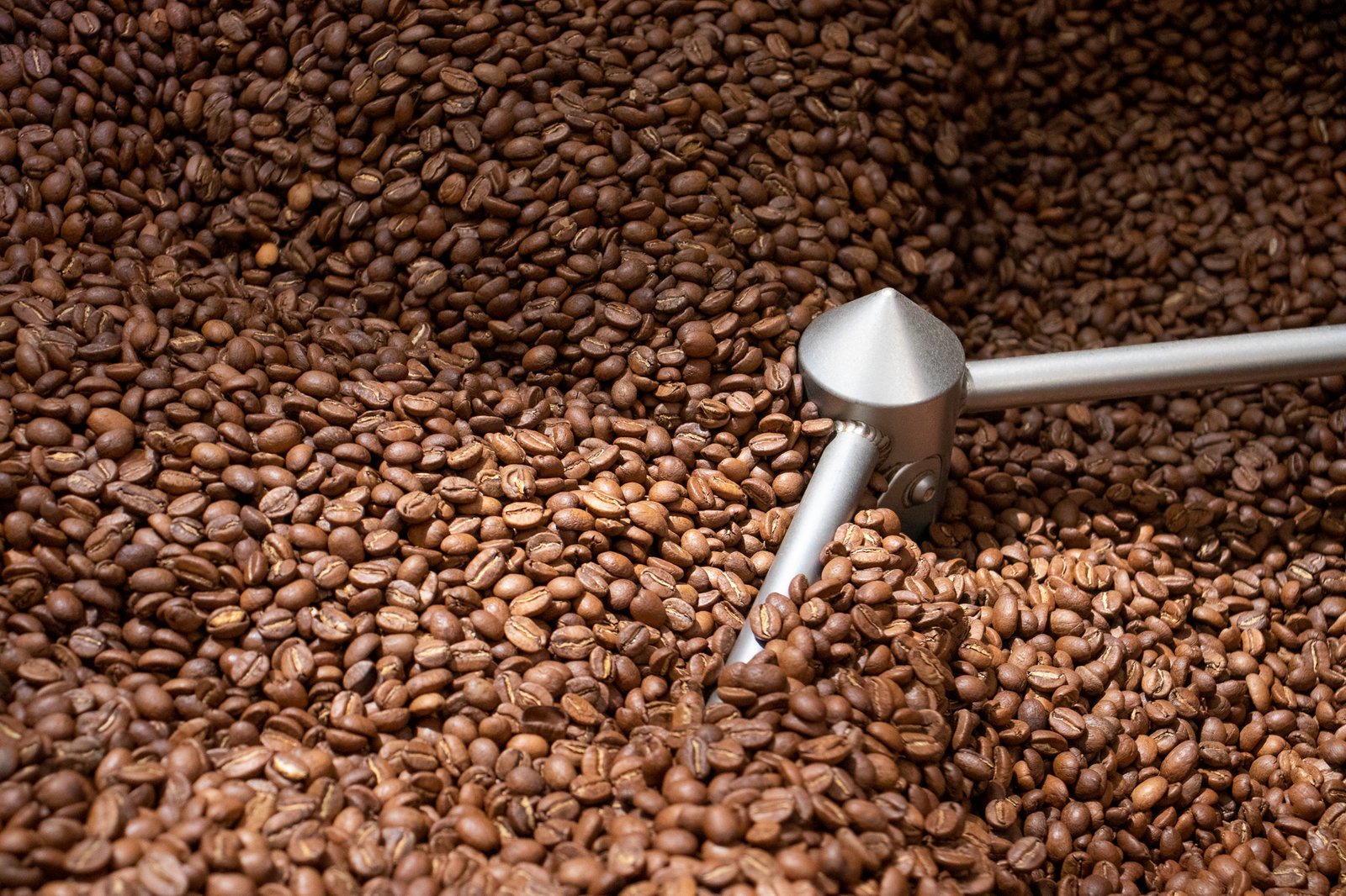 Café Amor Perfecto recién tostado en grano. Proceso de tostión de café de especialidad y enfriamiento para conservar frescura y aroma.