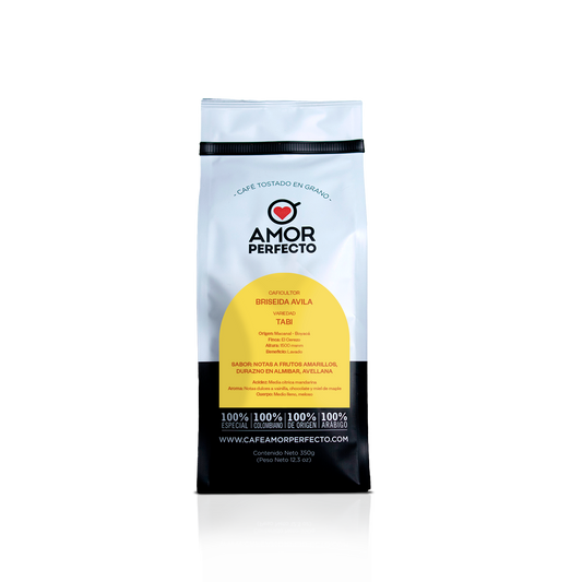Briseida Avila 350 GR
